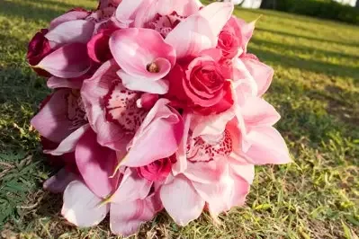 A cascade of pink calla lilies, orchids and roses held over grass.